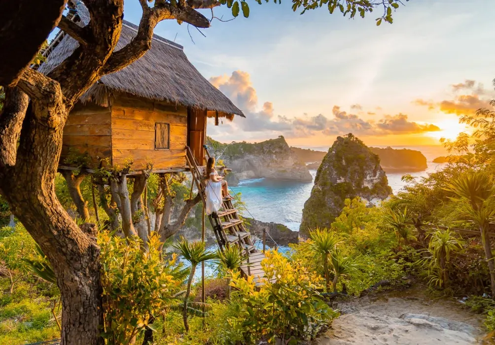 Tree House Nusa Penida